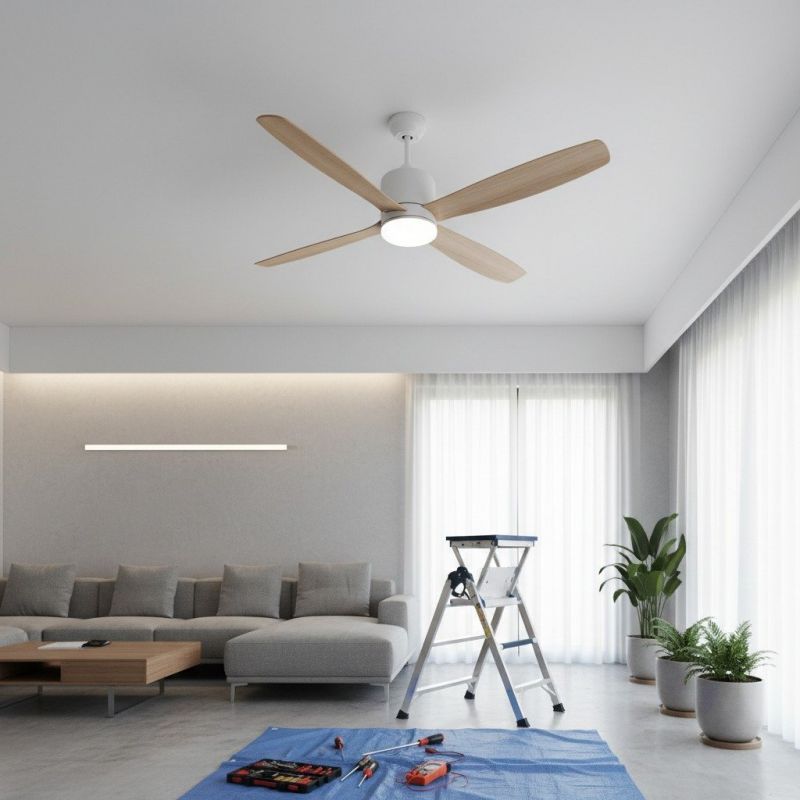 Ceiling Fan Repair detail