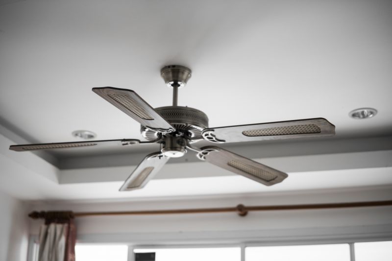 Ceiling Fan Repair detail